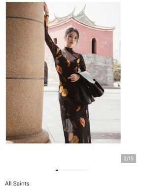 All Saints Hanna Aretha Mesh Dress Lk New Sz 4 US